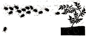 Bugs vs. Drugs, Organic Agriculture Hot Line and Disruptive Military Training Flights